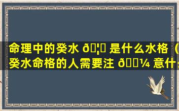 命理中的癸水 🦈 是什么水格（癸水命格的人需要注 🐼 意什么）